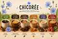 Chicorée
