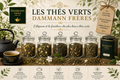 Thé Vert Dammann Frères Vrac
